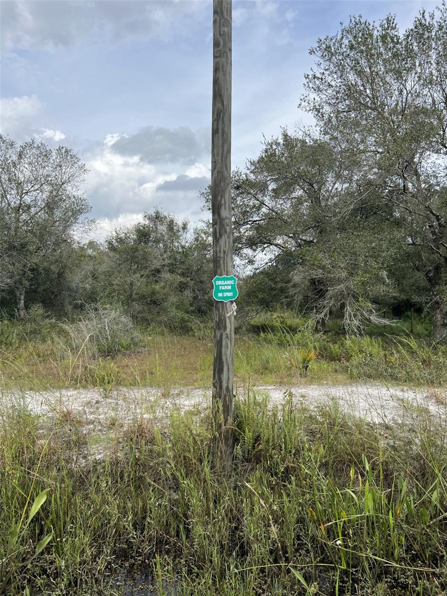 SOUTHERN COLONIZATION COMPANY - Land