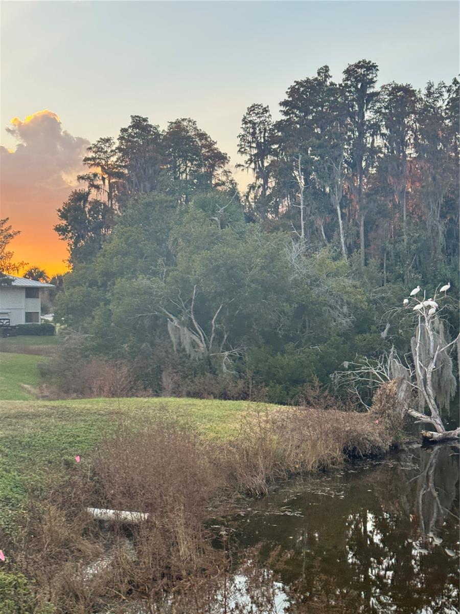 SADDLEBROOK CONDO CL 06 - Residential