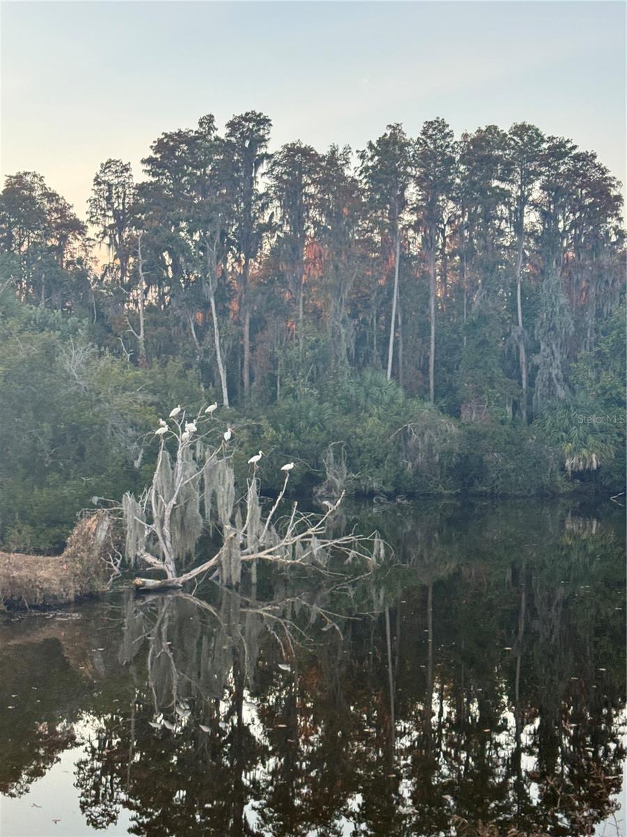 SADDLEBROOK CONDO CL 06 - Residential