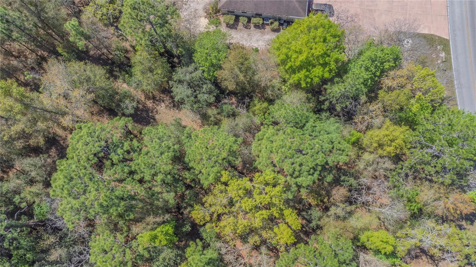 SUGARMILL WOODS CYPRESS VILLAGE - Land