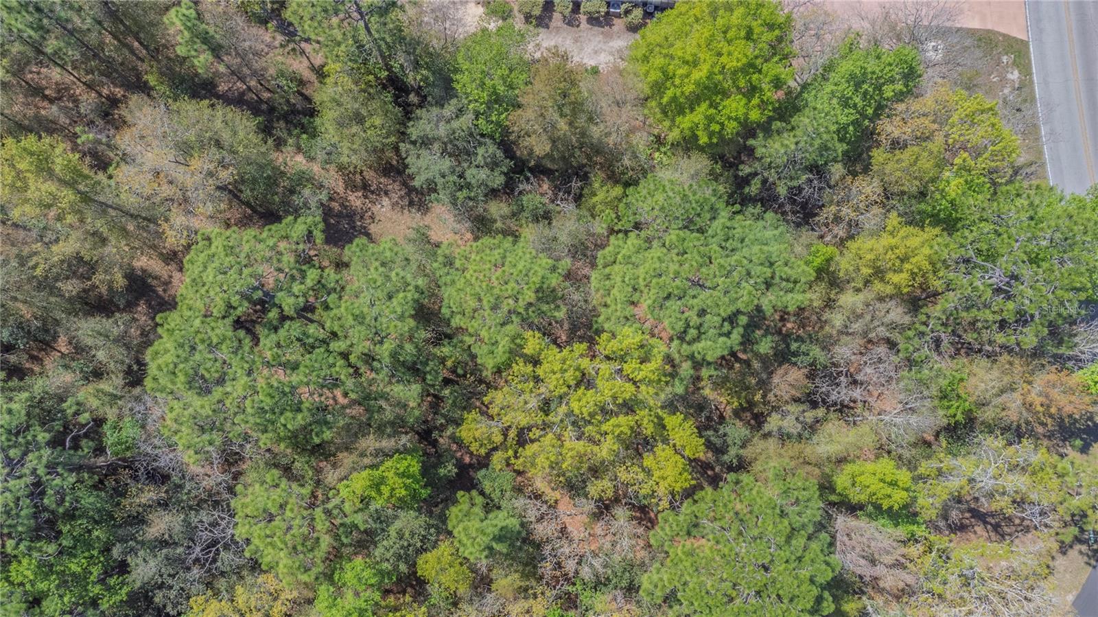 SUGARMILL WOODS CYPRESS VILLAGE - Land