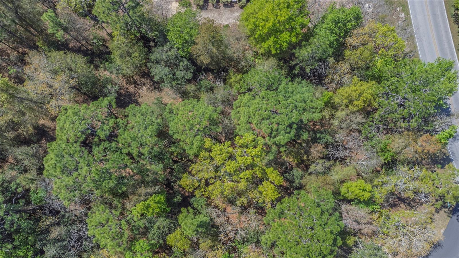 SUGARMILL WOODS CYPRESS VILLAGE - Land