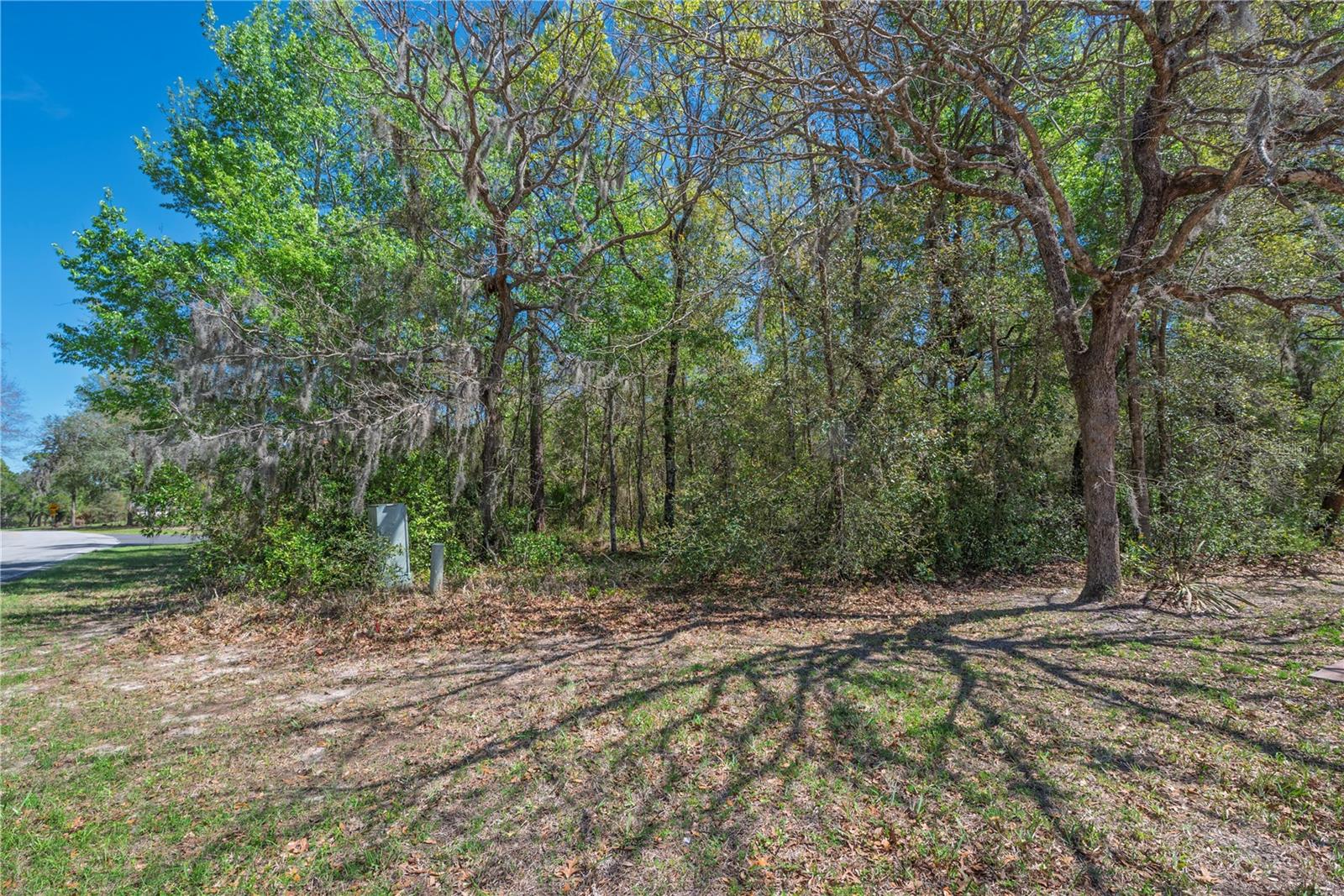 SUGARMILL WOODS CYPRESS VILLAGE - Land