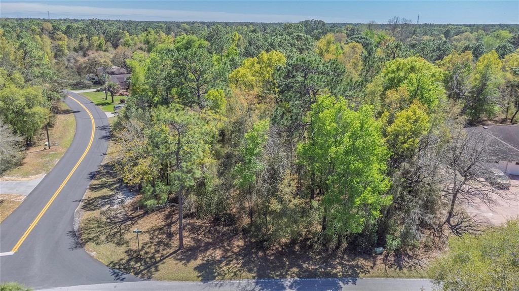 Photo of 1 Pine Street, Homosassa, FL 34446 (MLS # TB8482530)