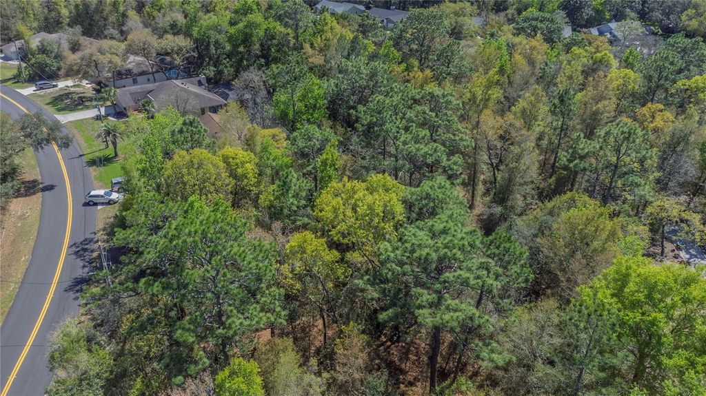 Photo of 1 Pine Street, Homosassa, FL 34446 (MLS # TB8482530)