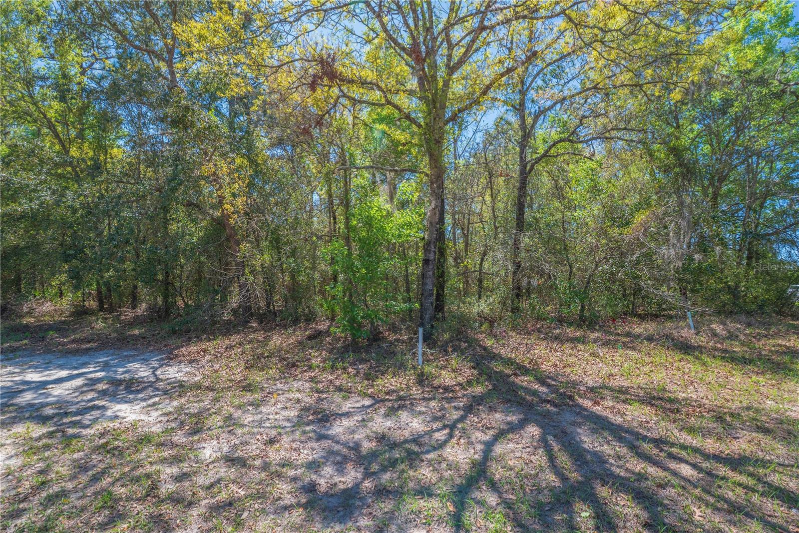 SUGARMILL WOODS CYPRESS VILLAGE - Land