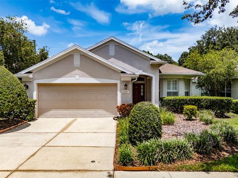 A home in VALRICO