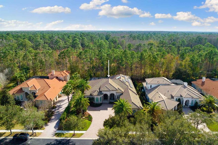 Introducing an architectural marvel in the realm of luxury living, this Zea Castaway 3 model Marc Rutenberg-designed residence stands as a
beacon of elegance and modern sophistication. Home backs up to the Brooker Creek Preserve, with four bedrooms, three full bathrooms, this
home defines upscale living in every aspect. The split bedroom floor plan includes a secluded primary suite, offering an exclusive haven of
tranquility. As you walk up the oversized, extended paver driveway leading to a spacious three-car garage featuring epoxy-finished flooring, a
smart car electric outlet, and a car lift for enthusiasts. The entrance, presenting double cedar wood and glass 10 ft front doors, opens into a
grand foyer, setting the tone for the exquisite details throughout. The primary suite wing is a testament to luxury. Inside, the suite dazzles with
double crown molding, dome custom ceiling, and recessed lighting. The en-suite bathroom is a marvel, featuring polished travertine from floor to
ceiling, double shower heads, a granite double vanity, a sitting tub, and his-and-hers closets with built-in shelving, complemented by a separate
water closet. Within, engineered hardwood flooring and travertine tiles grace the entire home, from the refined living and formal dining areas to
the expansive office space outfitted with custom built-in cabinetry. A chef's dream kitchen awaits, featuring a natural gas stove, double islands, a
built-in refrigerator, stainless steel appliances, custom cabinetry, chef's pantry illuminated by recessed lighting, and granite countertops. An
oversized dinette area and a sophisticated wet bar with a wine fridge enhance the culinary experience. The adjacent family room, warmed by an
ethanol fireplace and adorned with custom tray beam ceilings, offers a welcoming space for gatherings. Step into the back wing to discover the
study/den, bathed in natural light from surrounding windows and crowned with a custom dome ceiling. The media room, complete with a
projector and 114-inch screen, built-in bar, and automatic shades, and tray ceilings provides the ultimate entertainment experience. Enter the
rear guest suite, featuring a grand bedroom enhanced by custom-built shelving in the closet and accompanied by a separate bathroom boasting
a full glass shower. Step into the spacious laundry room, equipped with ample cabinet and shelving space, a Kohler utility sink, and quartz
countertops. The third and fourth bedrooms are nestled in their own private wing, separated by a bathroom that features a double vanity with
solid surface countertops, built-in shelving, abundant natural light, and polished travertine shower walls. Both bedrooms are adorned with
window seating sills, built-in shelving, custom closets showcasing meticulous attention to detail. The patio lanai unfolds as a resort-style

backyard dream, complete with a wood-covered ceiling. Equipped with outdoor speakers, the space is ideal for entertainment. A natural gas-
heated pool and spa, Lynx gas grill, set within a stunning cement build, invites alfresco dining. This residence is a statement of luxurious and

sustainable living. Solar Panels bringing LOW energy bills. It's meticulous design, superior craftsmanship, and green features make it an
unparalleled choice for those seeking a home that combines elegance with environmental consciousness. Discover a lifestyle of luxury, comfort,
and eco-friendly living in this exquisite estate.
