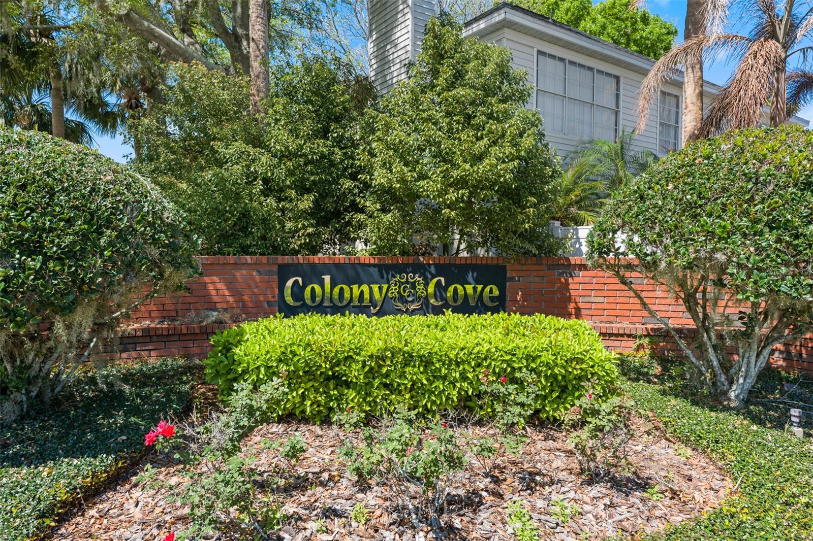 COLONY COVE - Residential