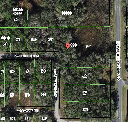 SUNSHINE GULF ESTATES - Land