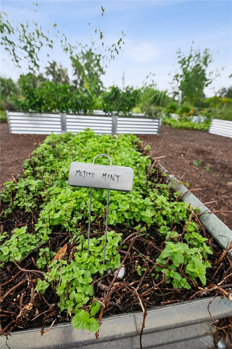 FLINT ROCK AGRIHOOD PH 2A PB 39 PG 80 - Residential