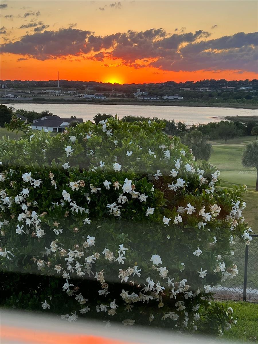 HIGHGATE/KINGS RDG - Residential