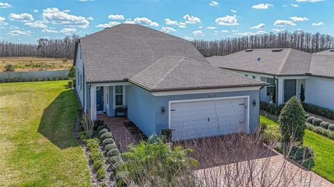 A home in LAND O LAKES