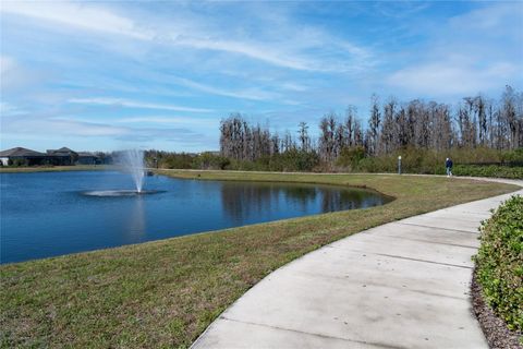 A home in LAND O LAKES