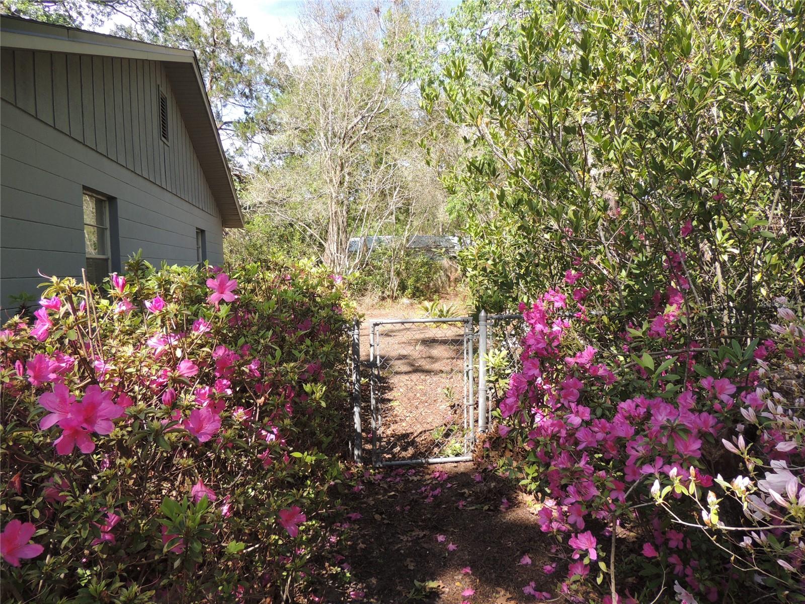 NORTHWOOD OAKS - Residential