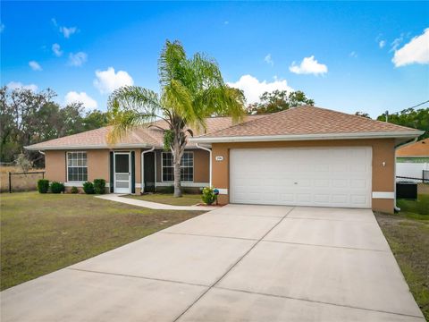 206 LOCUST PASS LANE OCALA FL 34472