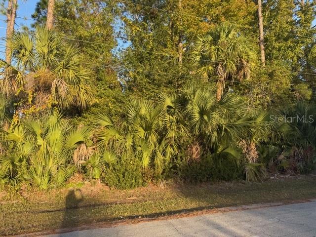 PALM COAST SEC 26 - Land