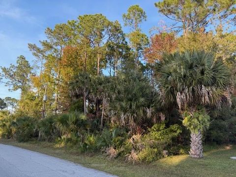11 PINELARK LANE PALM COAST FL 32164