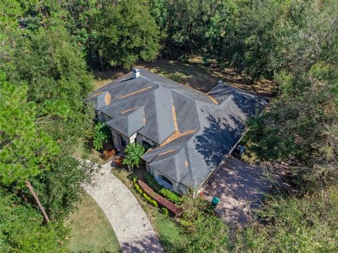 A home in MOUNT DORA