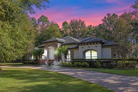 A home in MOUNT DORA