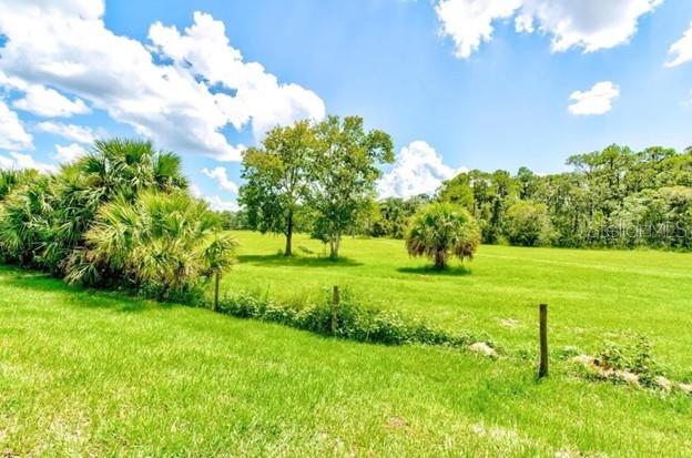 SUMMERLY - Residential