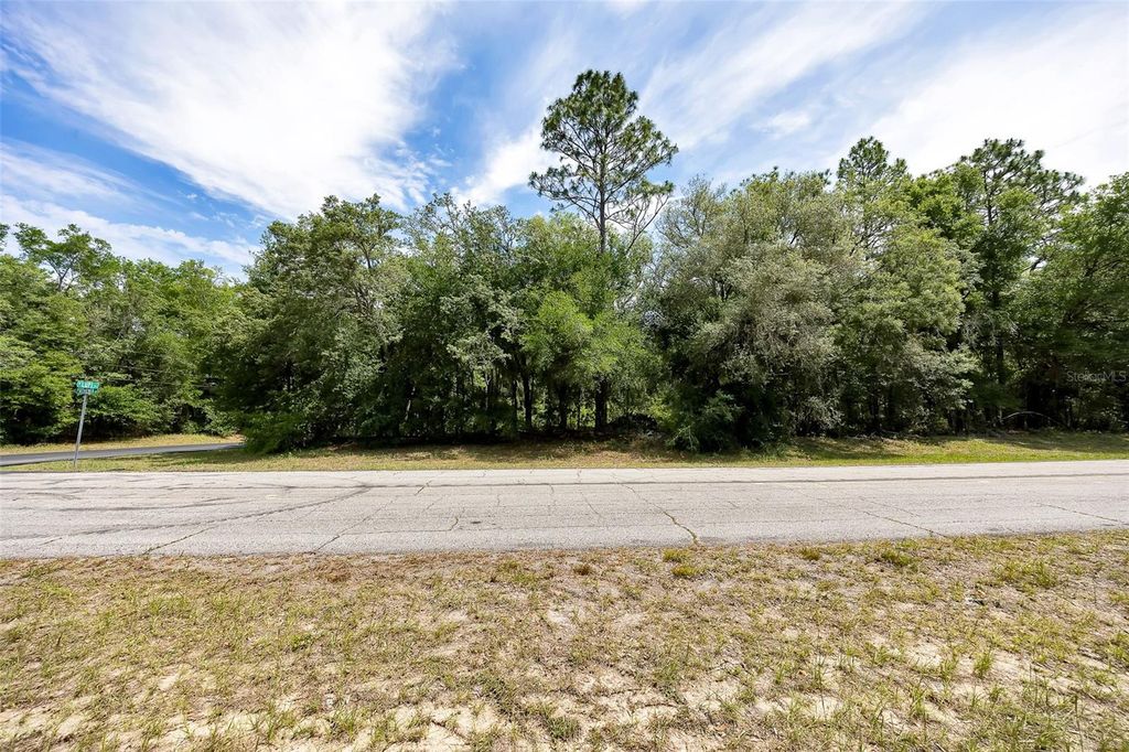 Photo of 10233 N Athenia Drive, Citrus Springs, FL 34434 (MLS # OM702576)