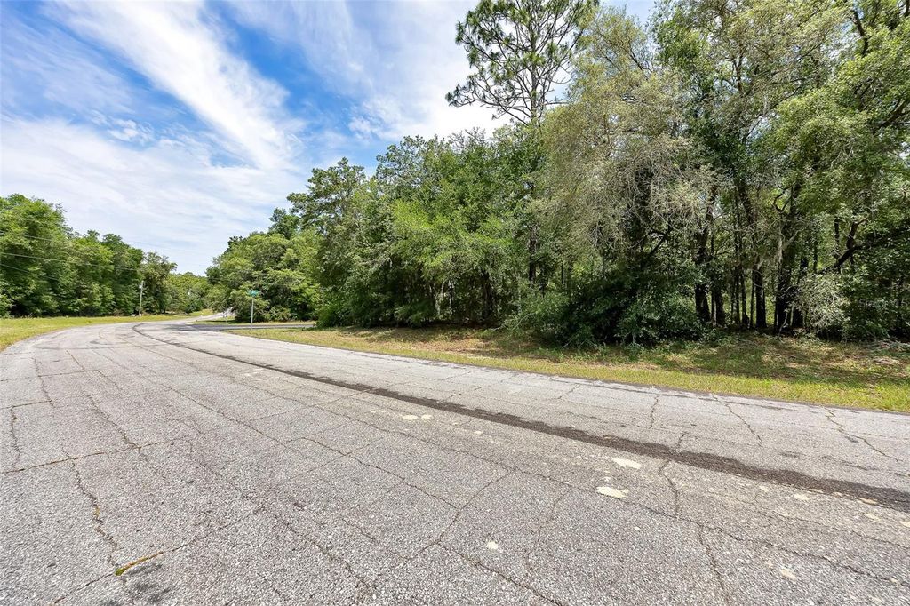 Photo of 10233 N Athenia Drive, Citrus Springs, FL 34434 (MLS # OM702576)