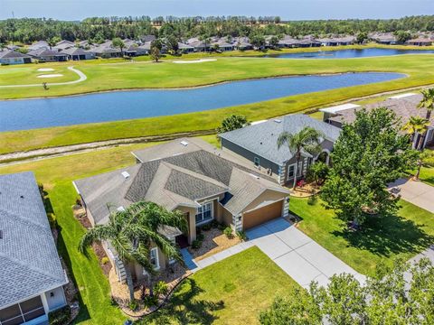 29432 COHARIE LOOP SAN ANTONIO FL 33576