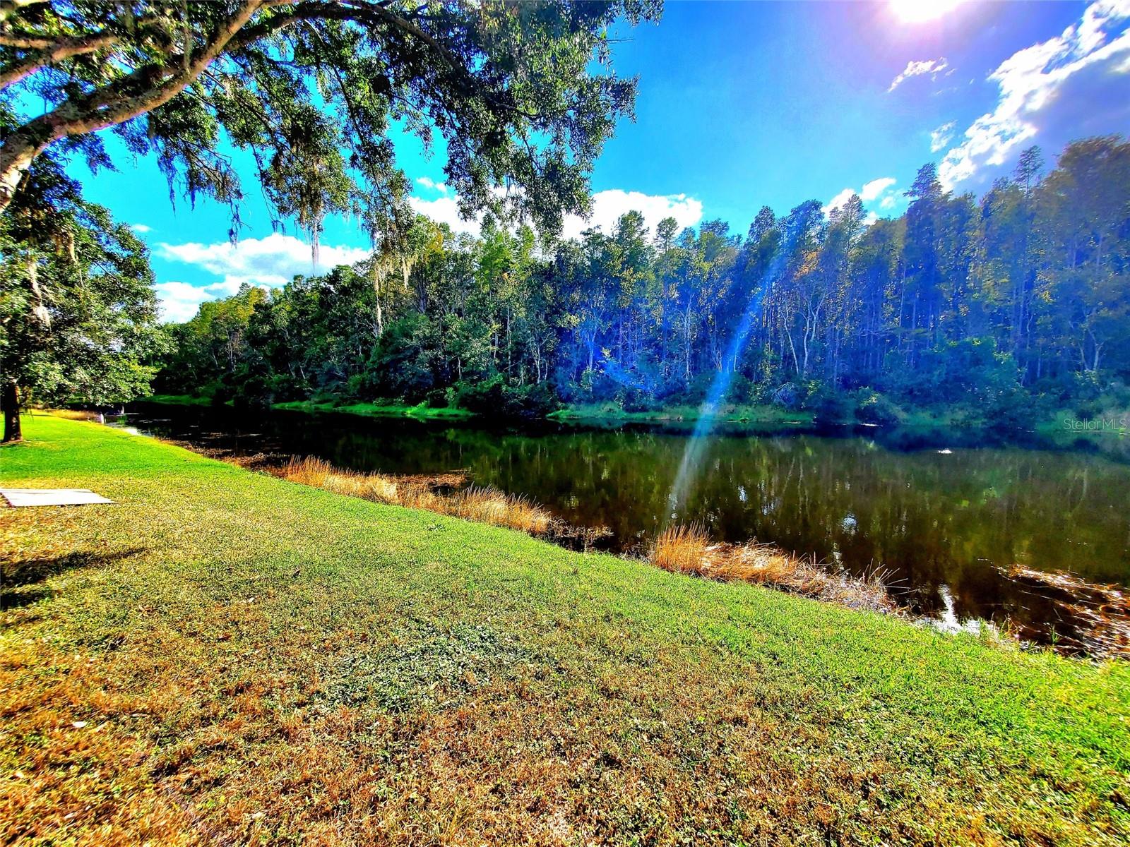LAKESHORE VILLAGE AT WOODFIELD - Residential