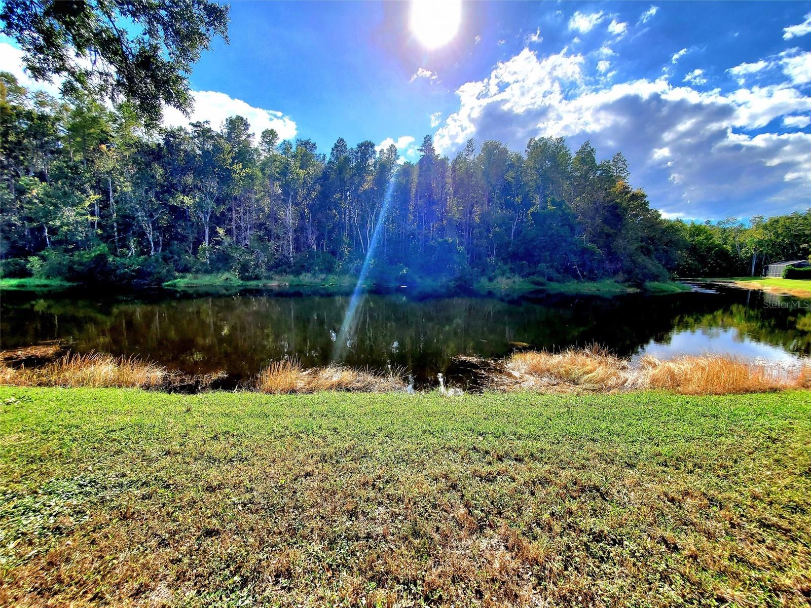 LAKESHORE VILLAGE AT WOODFIELD - Residential