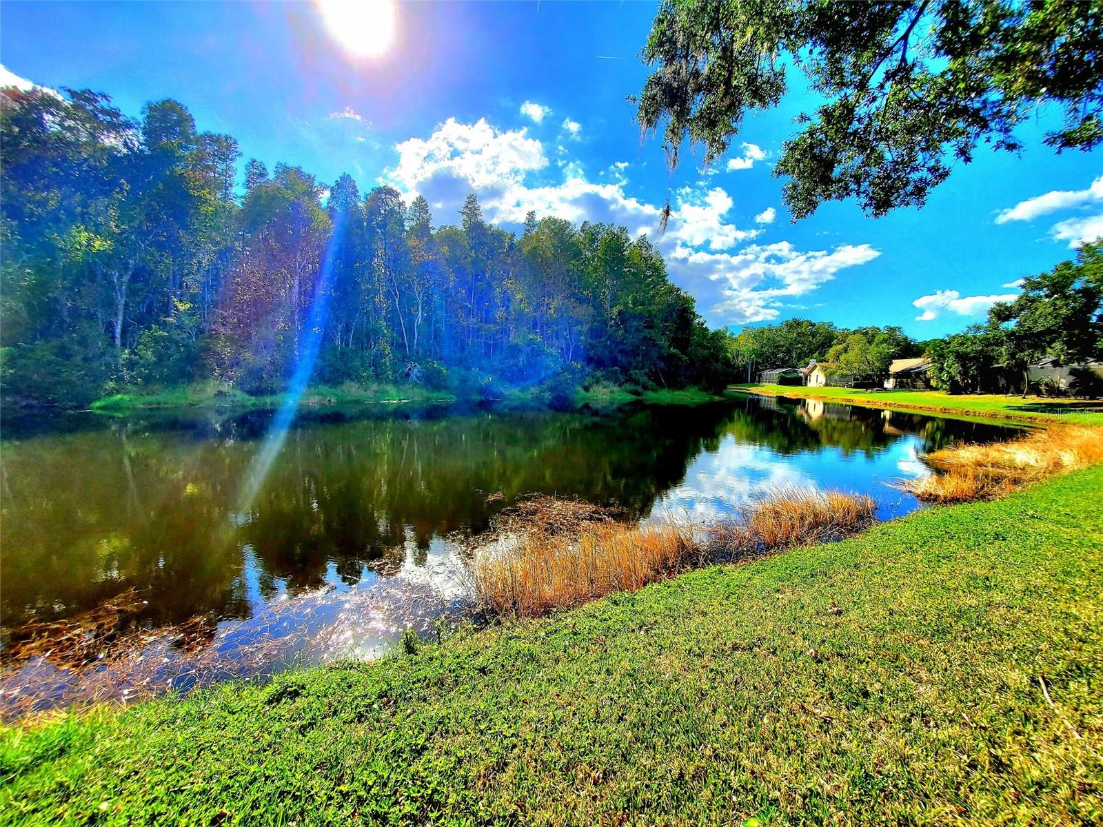 LAKESHORE VILLAGE AT WOODFIELD - Residential
