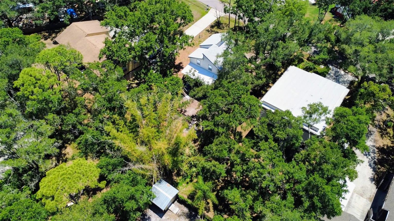 WEST OLDSMAR SEC 1 - Residential