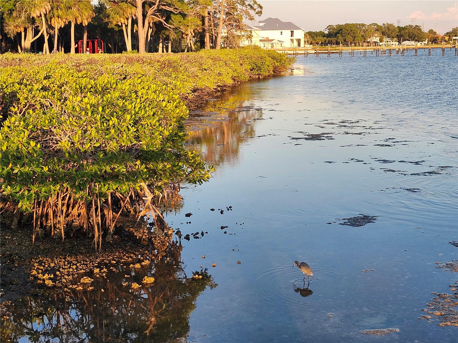 WEST OLDSMAR SEC 1 - Residential