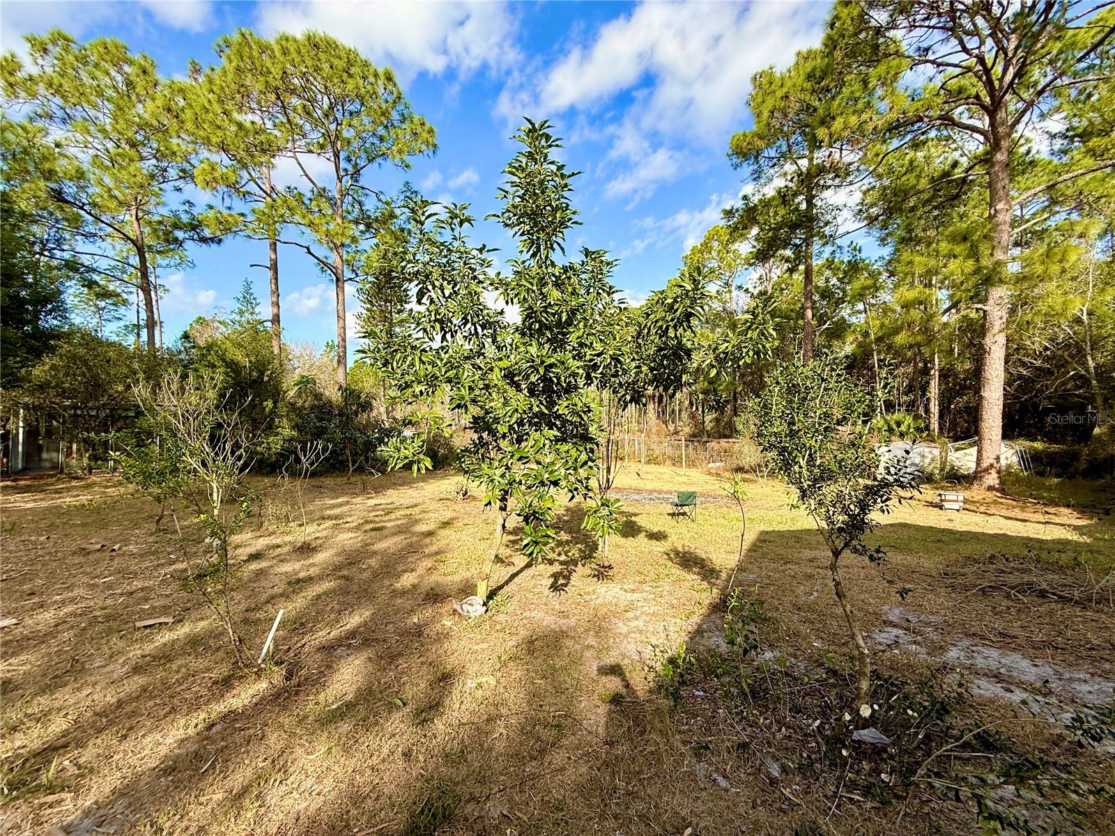 LAKE BUTLER SHORES - Residential