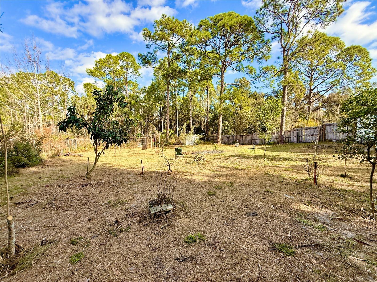 LAKE BUTLER SHORES - Residential
