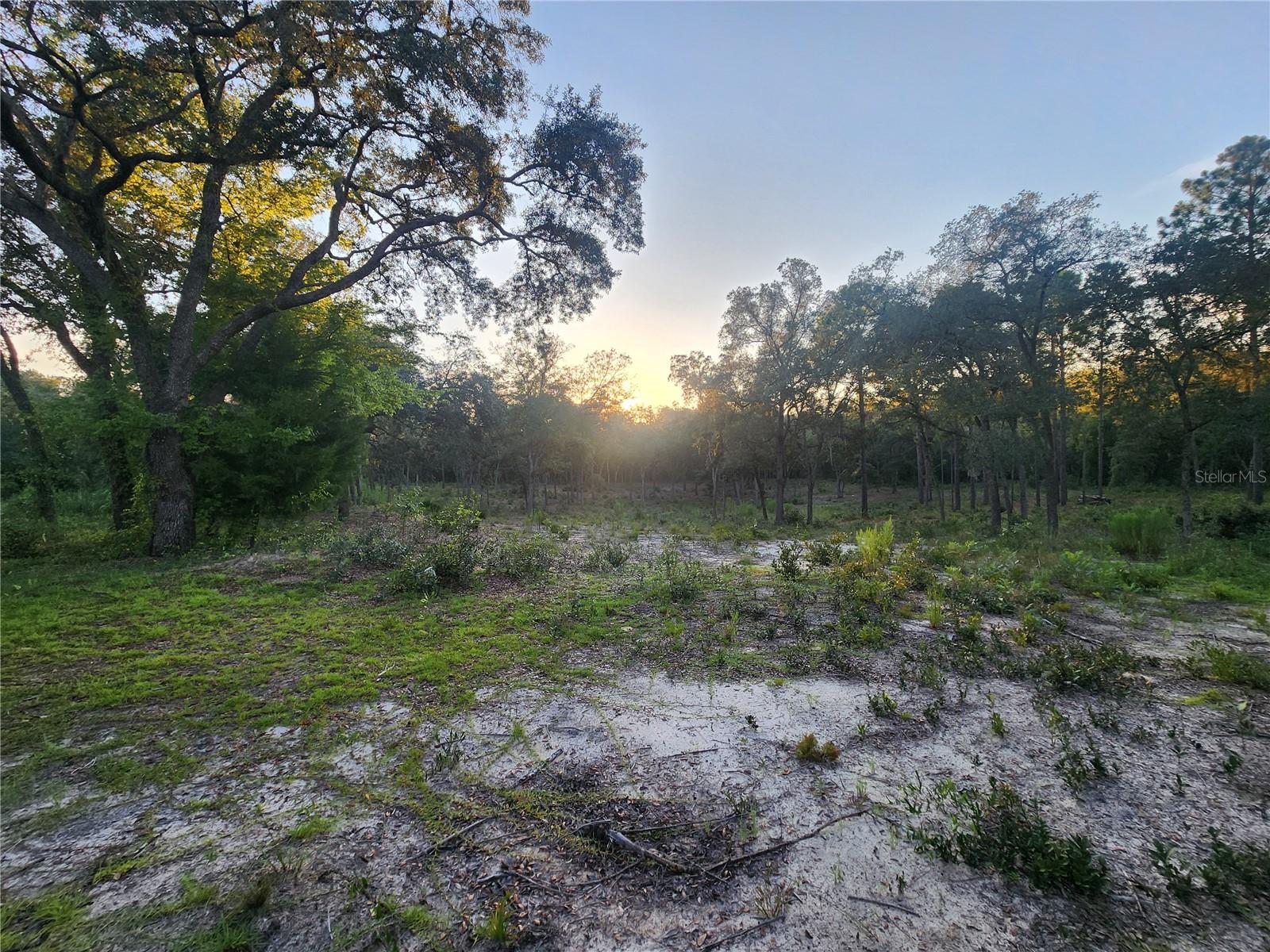 UNIVERSITY ESTS - Land