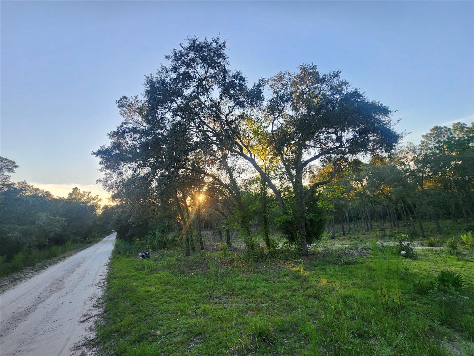 UNIVERSITY ESTS - Land