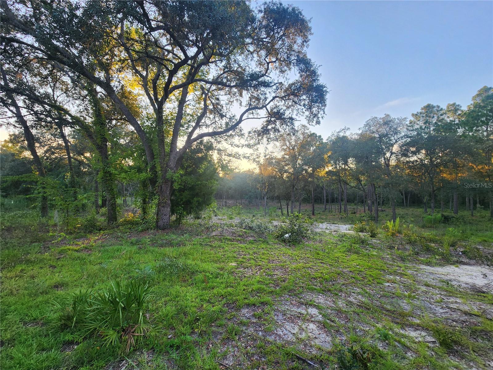 UNIVERSITY ESTS - Land