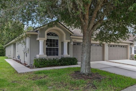 A home in WESLEY CHAPEL