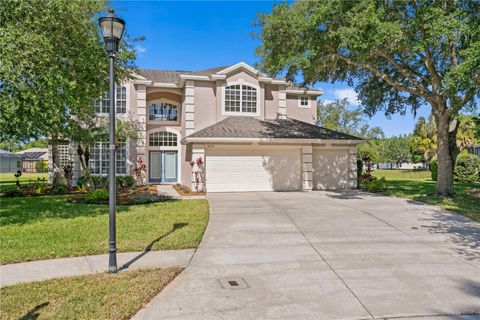 A home in TAMPA