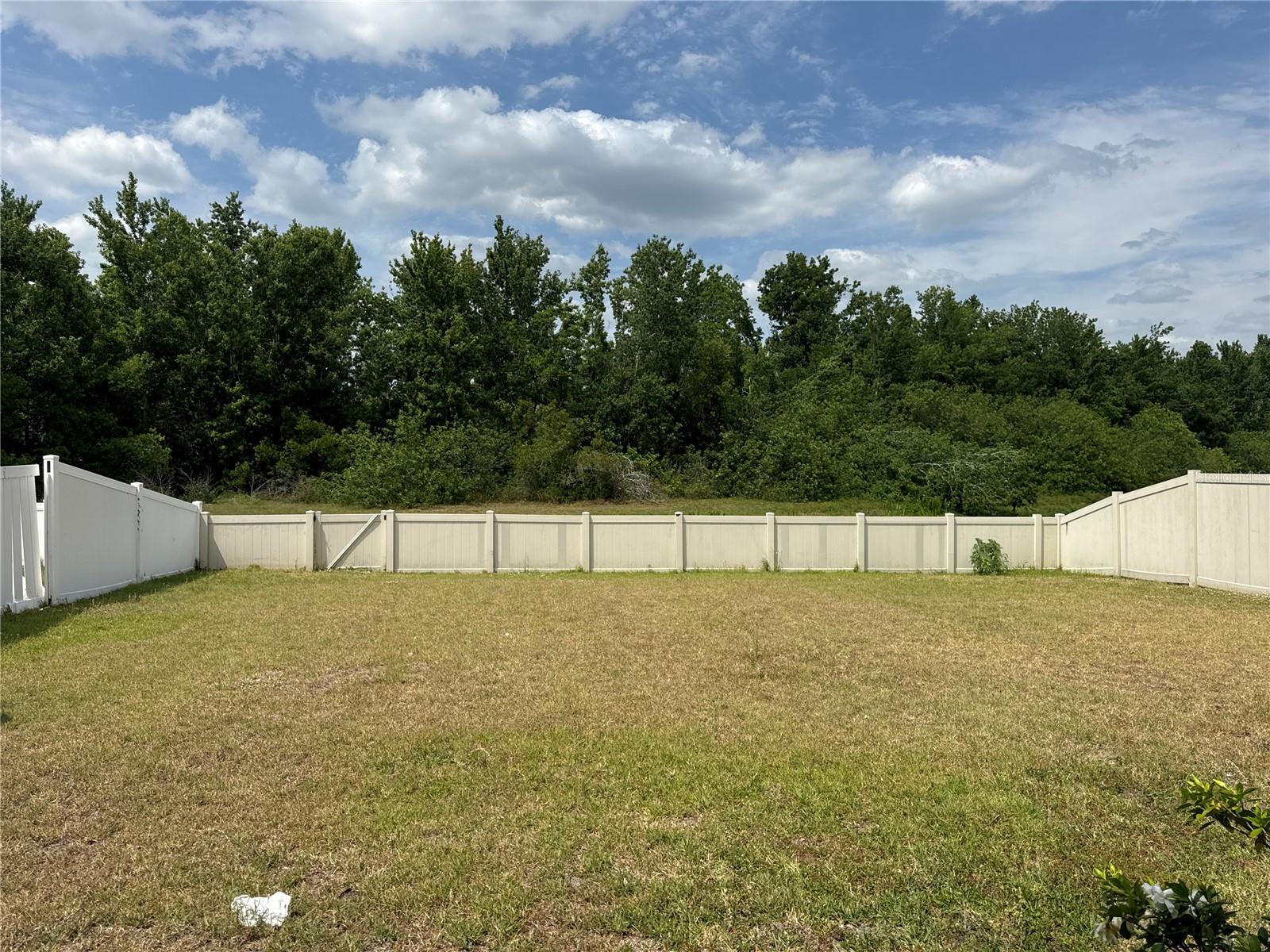11317 VILLAGE BROOK DRIVE