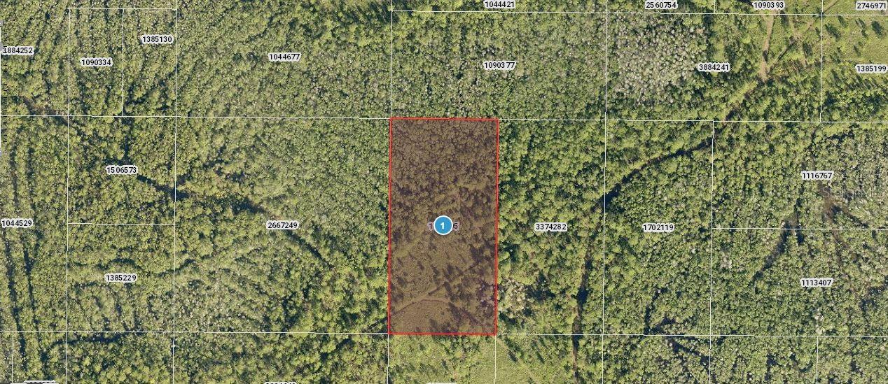 Property Description: W 1/2 OF SE 1/4 OF SE 1/4 OF NW 1/4 ORB 5905 PG 1925
vacant res
Note: buyers I emphasize the importance of conducting thorough due diligence to ensure that the property meets your expectations and requirements.