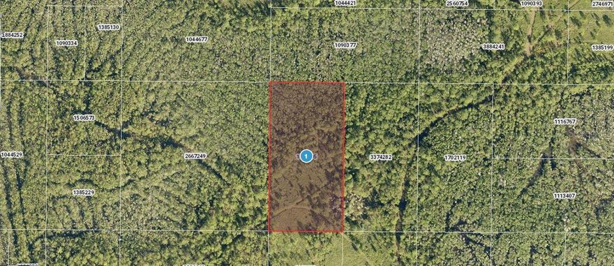 Property Description: W 1/2 OF SE 1/4 OF SE 1/4 OF NW 1/4 ORB 5905 PG 1925
vacant res
Note: buyers I emphasize the importance of conducting thorough due diligence to ensure that the property meets your expectations and requirements.