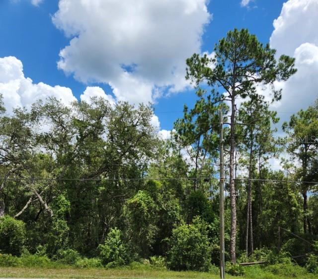 COMMERCIAL HIGHLANDS US 301 - Land