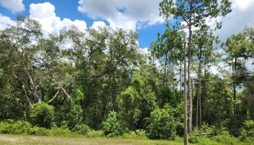 If you're dreaming of a serene, private haven away from the hustle and bustle of city life, I have some exciting news for you. We are thrilled to announce the availability of a stunning piece of land in Webster, Florida's Ridge Manor, located just off SR 50 and 301 North Treiman Blvd.

This beautiful property boasts a lush, landscaped environment with majestic wild trees and an abundance of wildlife, making it the perfect retreat for those seeking a peaceful, quiet lifestyle. Imagine your own private oasis where you can unwind and enjoy nature's splendor. Whether you're an avid gardener, a nature enthusiast, or someone who simply enjoys tranquility, this land offers something for everyone.

The location offers endless opportunities for a variety of lifestyles. It is conveniently close to SR 75, SR 98, providing easy access to nearby amenities while maintaining the tranquility you desire. Whether you're envisioning a charming home, a picturesque getaway, or even an investment opportunity, this land provides the perfect canvas for your dreams. With its prime location and natural beauty, the possibilities are truly endless.

We invite you to explore the possibilities and embrace the potential of this remarkable property. Don't miss out on this unique opportunity to create your own private sanctuary. Imagine the joy of designing your dream home or retreat, surrounded by the beauty and serenity of nature.