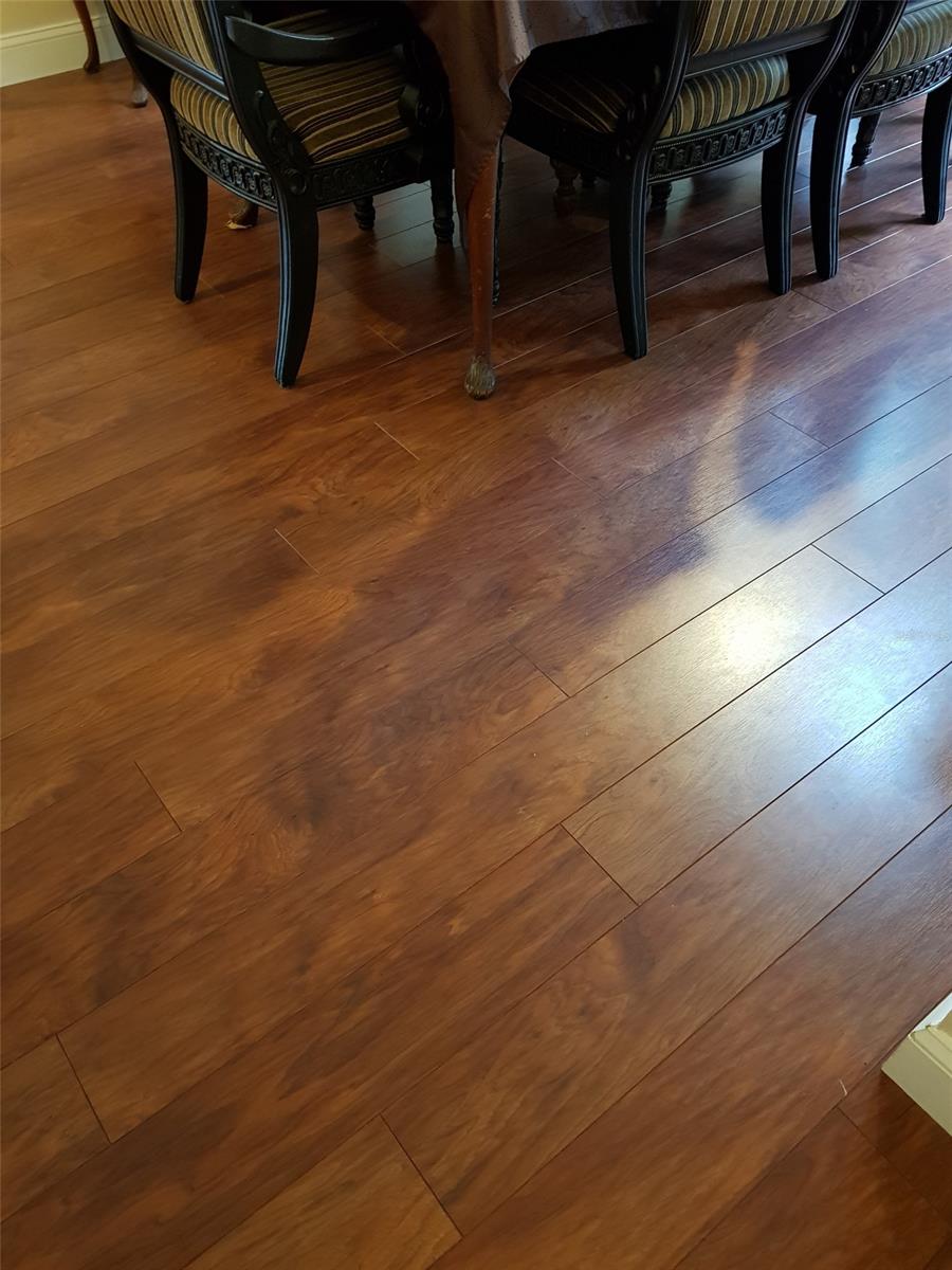 Florida Shores 01 - Residential