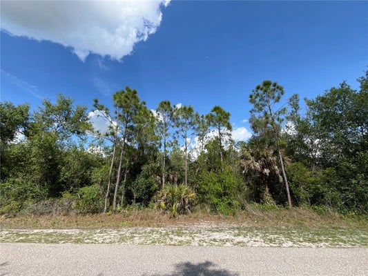 1174 SHETLAND ST, PUNTA GORDA, FL 33980 - Image 011e0711edcb2f039bb1d5fa01a60751/4294583184