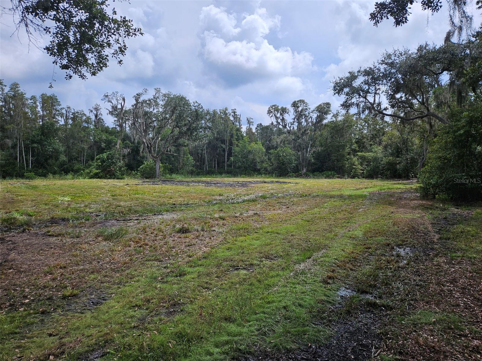 Ready to build your own quite place. This 1 acre lot cleared and ready to build on.
This lot is off 39 and 4.8 miles to I4 but yet quite surroundings just North of Plant City.
Zoned AS-1, allowing you to put Conventional home, Mobile home or container home.
