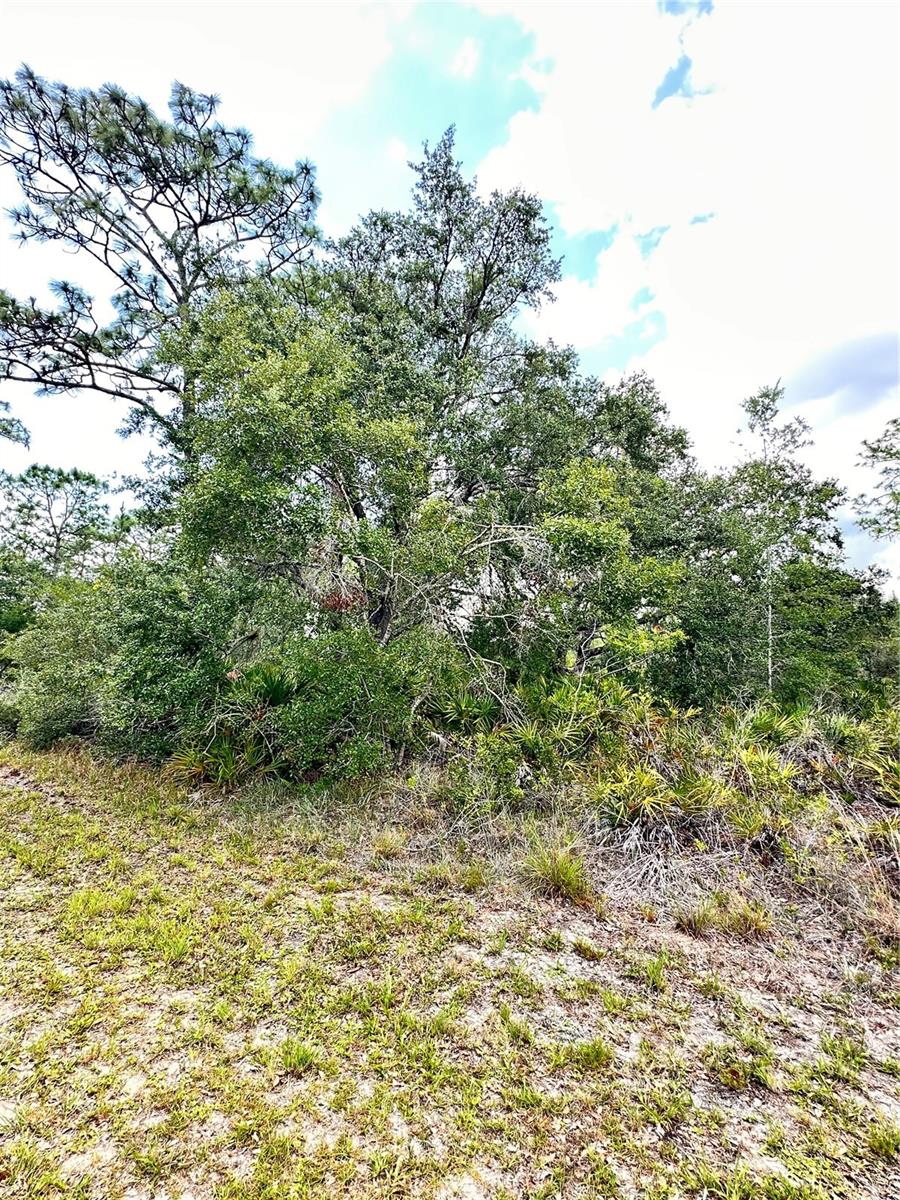 INDIAN LAKE ESTATES - Land