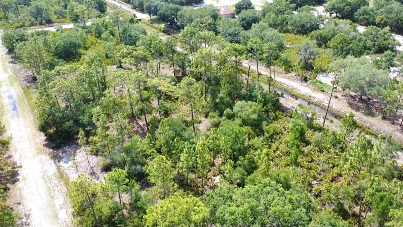 INDIAN LAKE ESTATES - Land